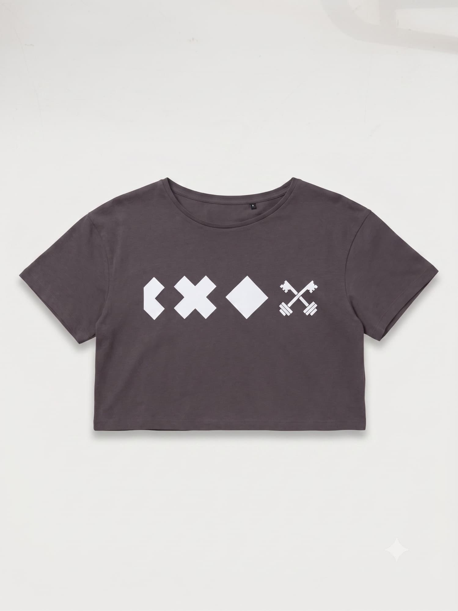 CrossFit Leiden Crop Top Grey